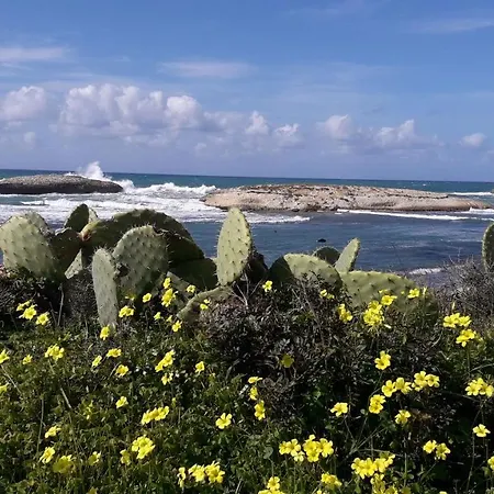 Le Tre Chiocciole B&B SantʼAntìoco